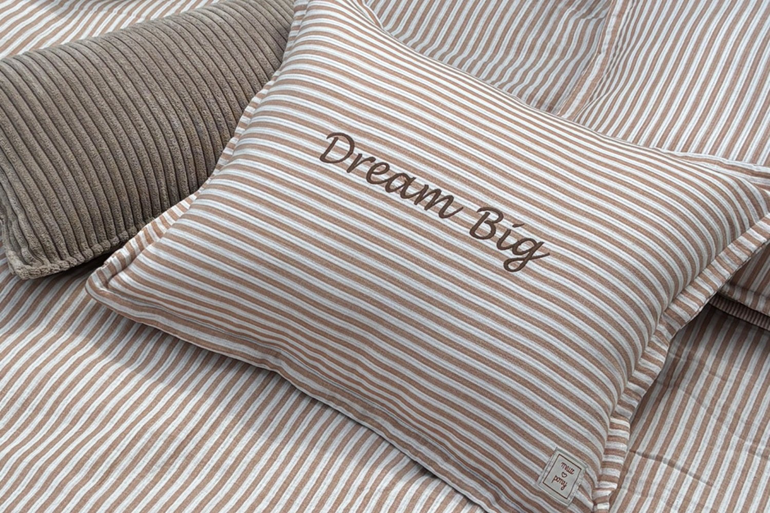 Dream Big Cushion