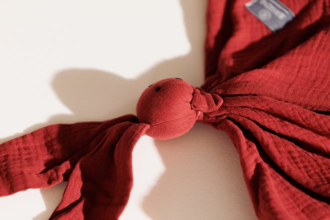 Chili Oil  Rabbit Comforter