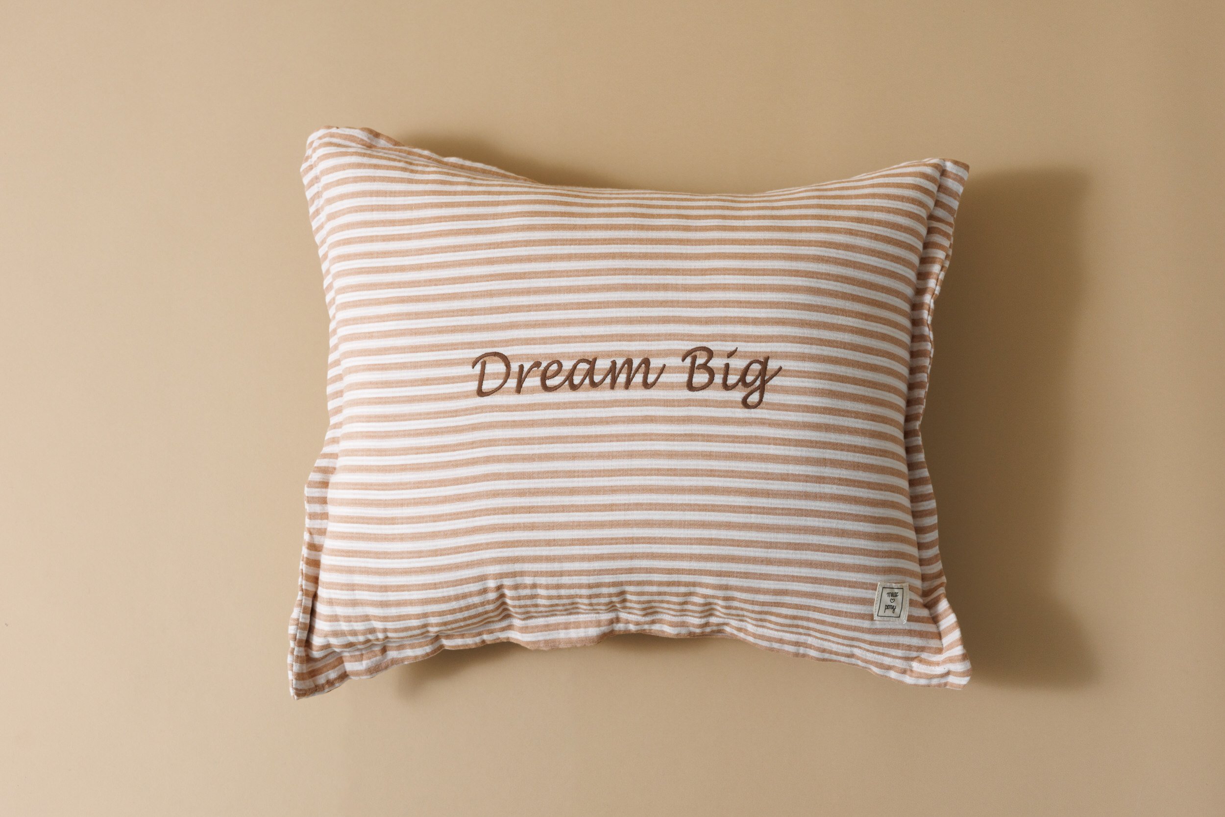 Coussin Dream Big