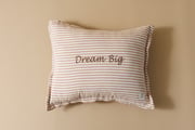 Dream Big Cushion