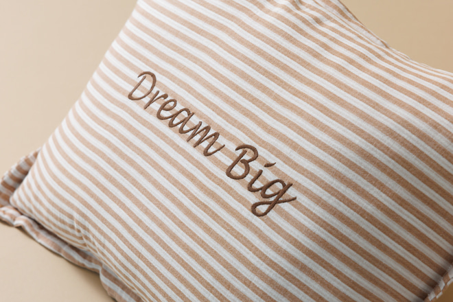 Polštář Dream Big