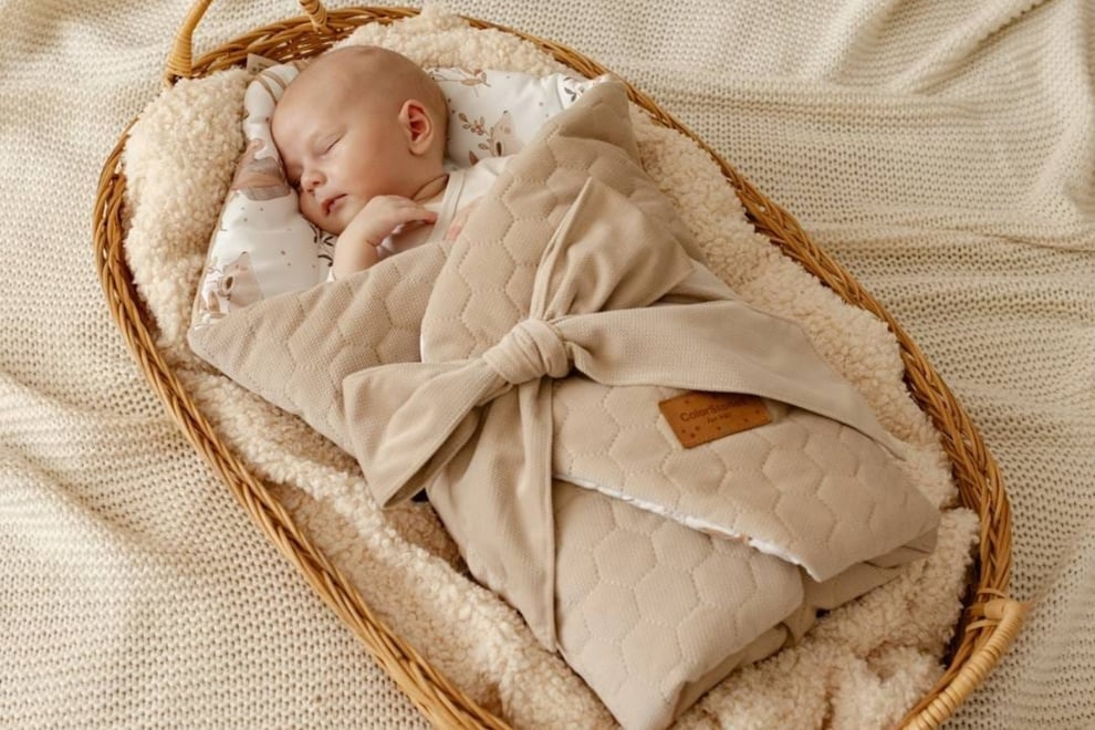 Velvet Forest Friends Swaddle