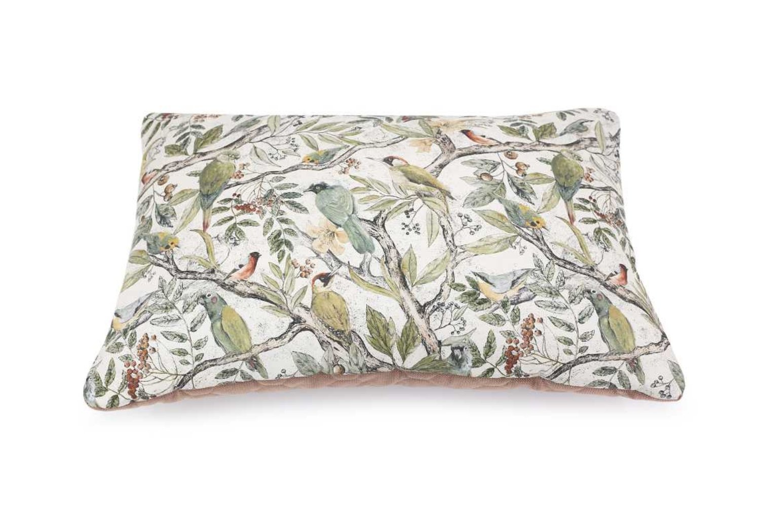 Orinthology Velvet Pillow 40x30