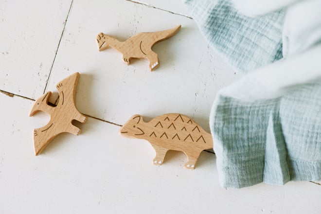 Dinosaur Set