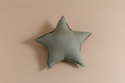 Olive Star Linen Cushion