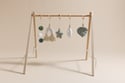 Wooden Baby Gym - Mint