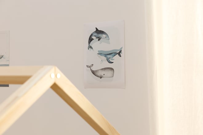 Whales Poster