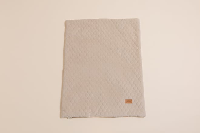 Forest Friends Minky Blanket