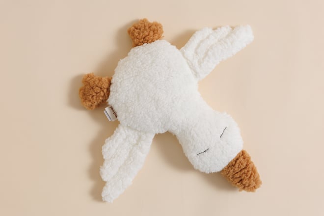 Peluche Oca