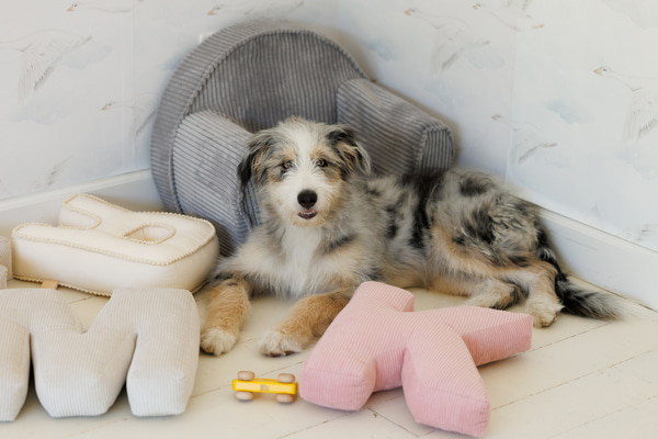 Letter Cushion R - Boho Vanilla