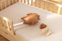 Doudou Mini Écureuil