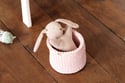 Conjunto de 2 cestos de toilette em tecido - Rosa