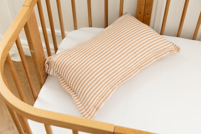 Dream Big Cushion