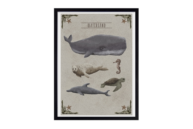 Affiche Waterland
