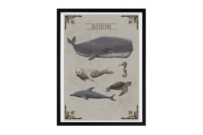 Affiche Waterland