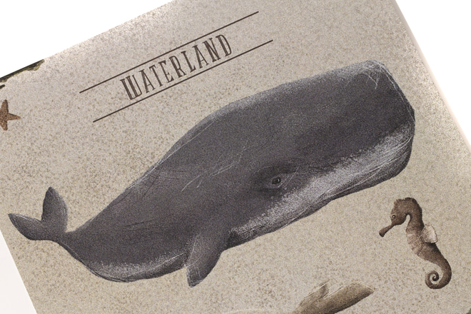 Waterland Poster