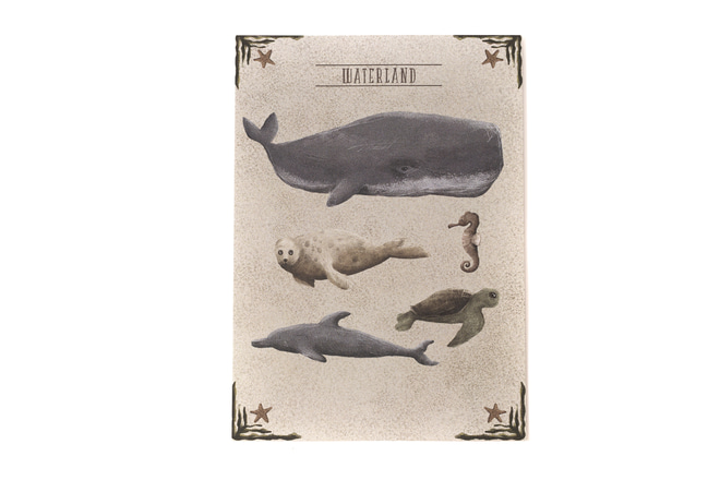 Waterland Poster