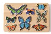 World of Butterflies Sorter