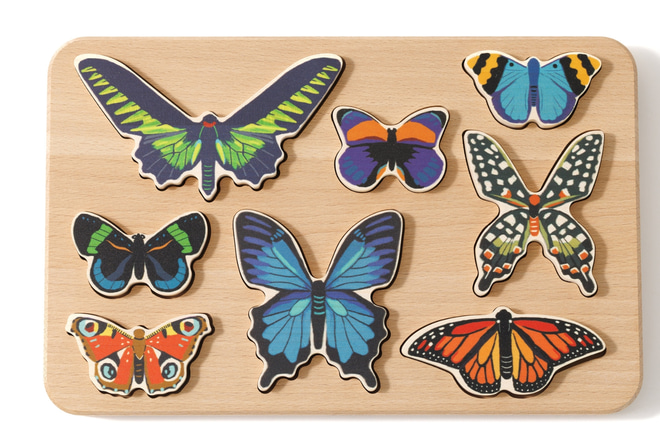 World of Butterflies Sorter