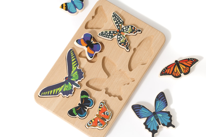 Welt der Schmetterlinge Set