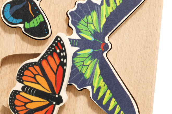 Selezionatori di forme Farfalle