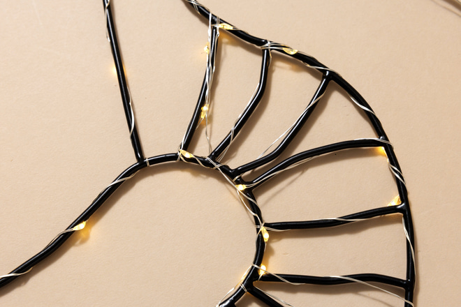 Ghirlanda Luminosa LED in Filo Metallico Nero - Fungo