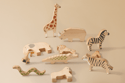 Set Animales Salvajes