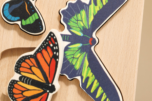 Conjunto de Borboletas e um quadro de classificação.