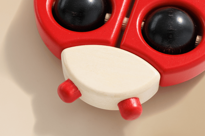 Red Ladybird Red Ladybird