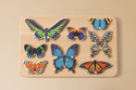 Welt der Schmetterlinge Set