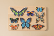 Jouet En Bois - Trieur de formes Papillons du Monde