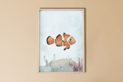 Affiche Poisson Clown