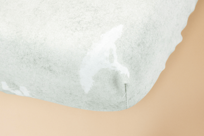 Sábana bajera Savane