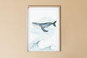 Whale Poster