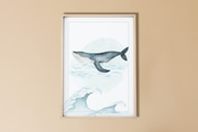 Whale Poster