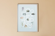 Ocean Numbers Poster