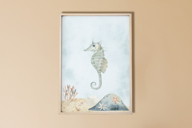 Imagen Caballito de Mar