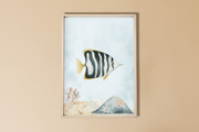 Imagem - Peixe II