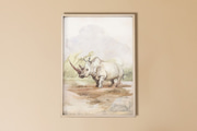 Affiche Rhinocéros