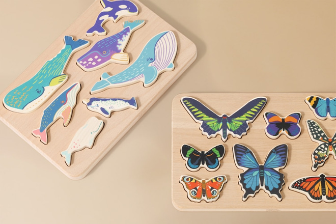 World of Butterflies Sorter