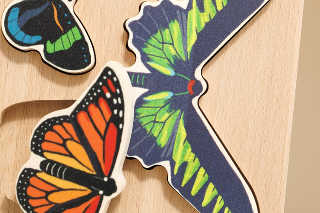 World of Butterflies Sorter