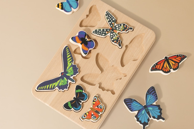 Welt der Schmetterlinge Set