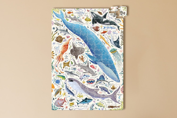 Puzzle Oceánská zvířata 7+
