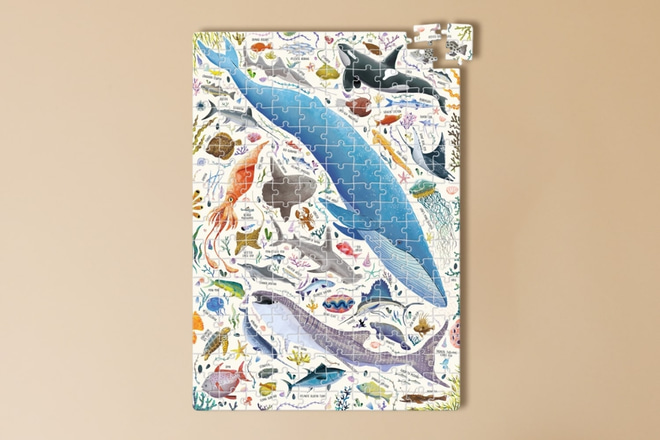 Puzzle Oceánská zvířata 7+