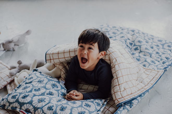 Denim Lion Sleeping Bag & Pillow