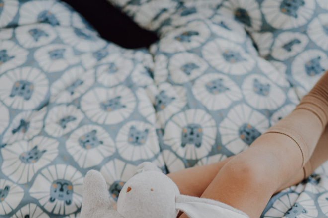 Conjunto Dupla Face Edredõ 120x160 &Almofada 40x60- Denim Leão