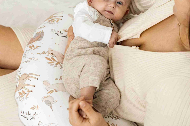 Coussin d'Allaitement Happy Goose