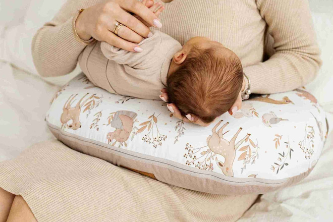 Coussin d'Allaitement Happy Goose