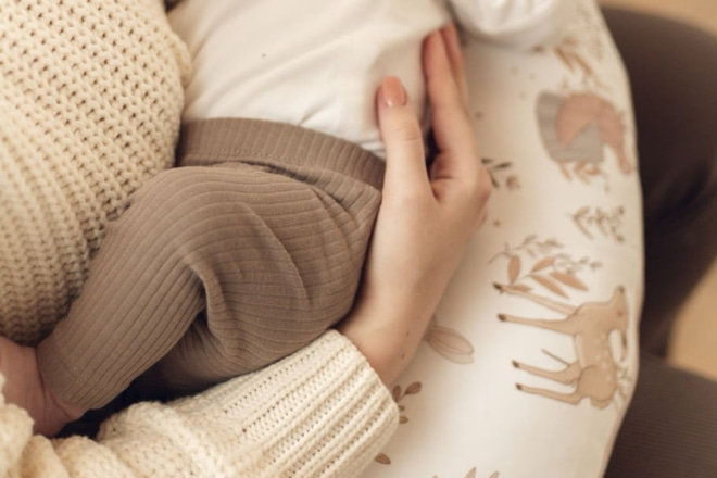 Stillkissen Happy Goose