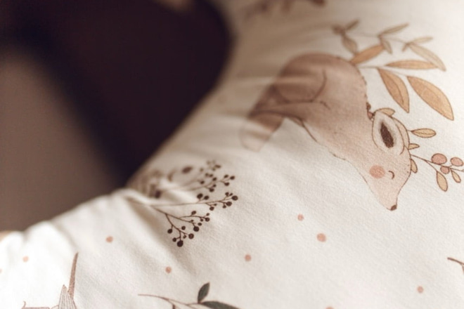 Coussin d'Allaitement Happy Goose